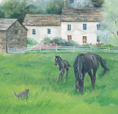 Little Foal's Busy Day