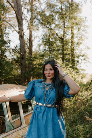 Darla Denim Dress