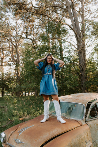 Darla Denim Dress