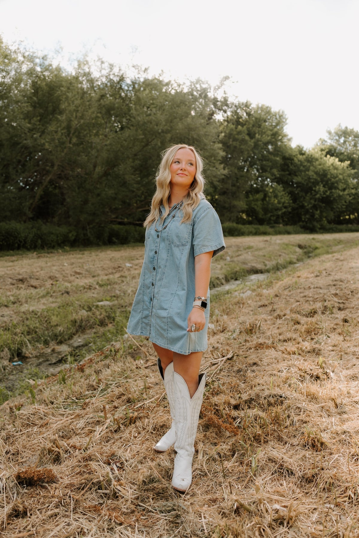 High Plains Dress