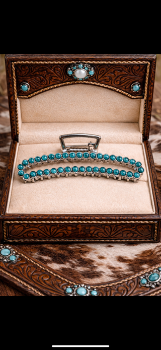 Turquoise Clip