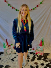 Vanessa Velvet Dress