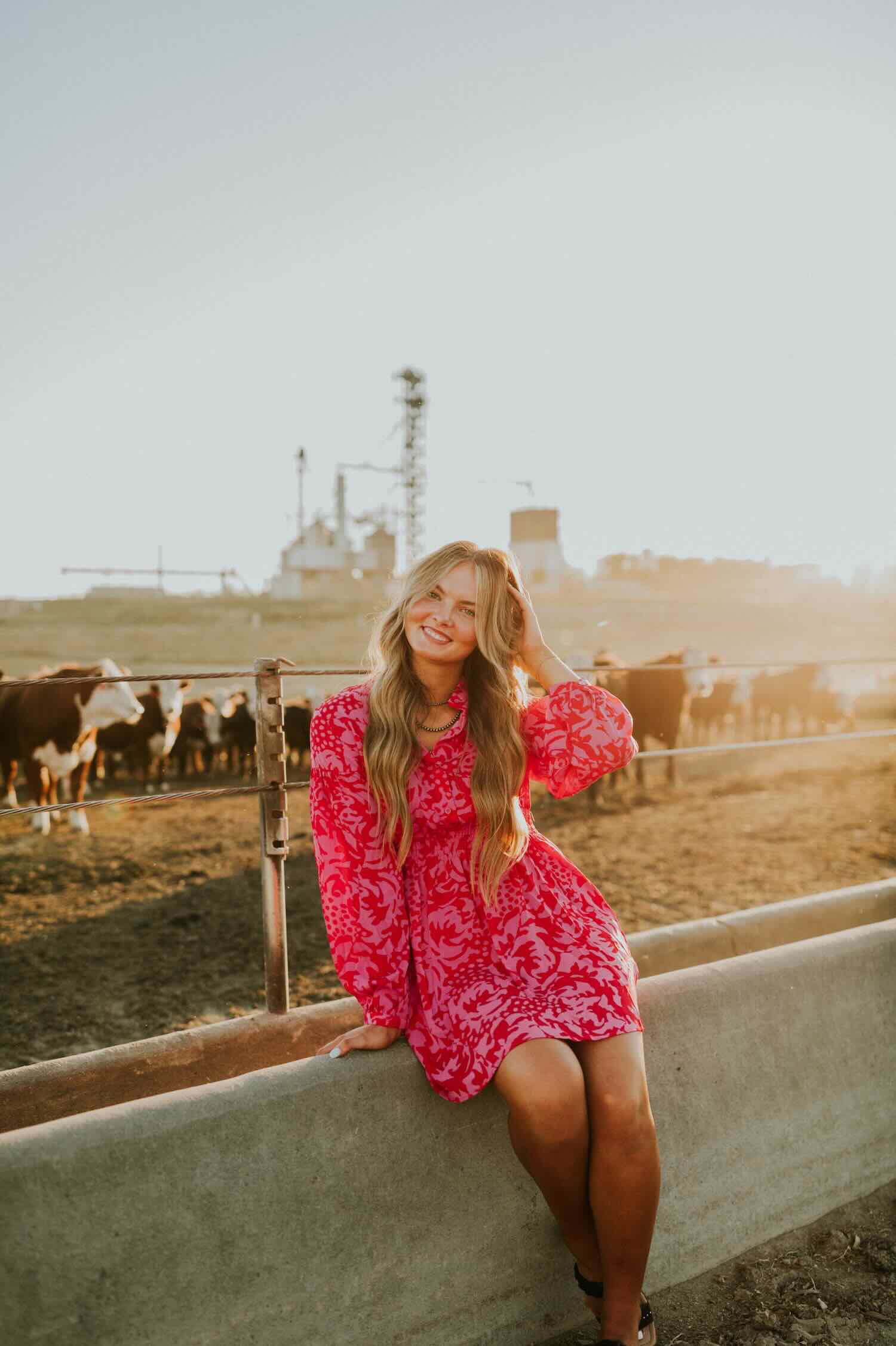 Rosy Dress